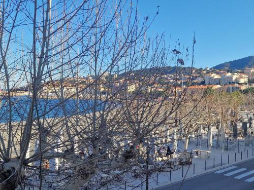 Banyuls-sur-Mer Apartamento | BANYULS, T3 climatisé à 50m de la plage, en centre-ville - FR-1-309-9