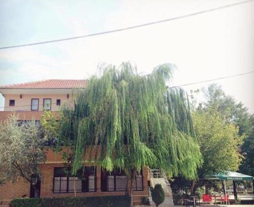 Korce Hotel | Bar Restaurant Hotel Drraska