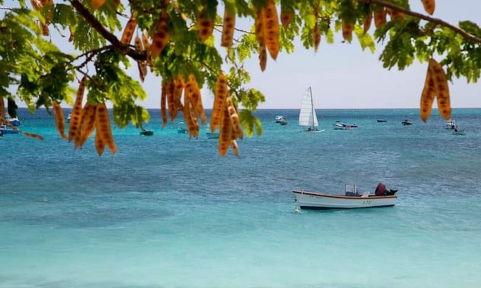 Weston Apartamento | Barbados / West coast 1 bed apartment