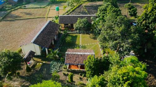 Bardia Casa | Bardia Eco Friendly Homestay