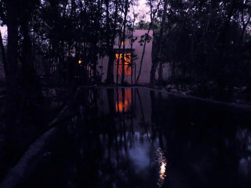 Macario Gomez Casa | barefoot jungle studios
