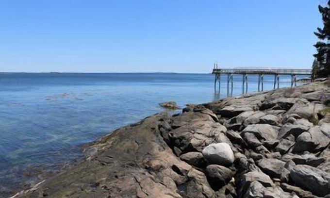 Brooklin Cabaña | Barnacle en Flye Point