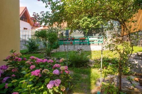 Centrul Vechi Villa | Barok Apartments