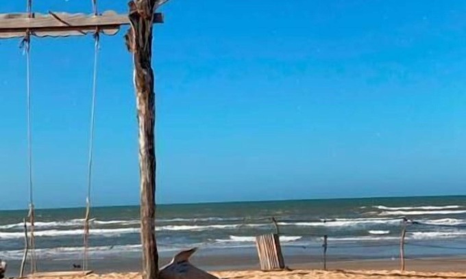 Barreirinhas Hotel | Barreirinhas House