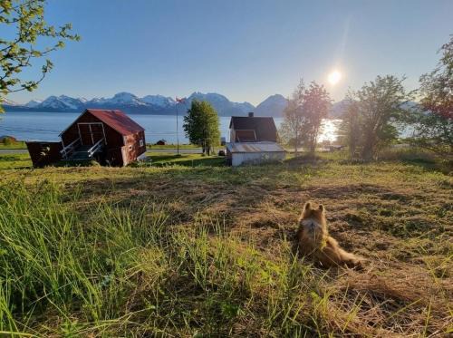 Lyngen Casa | Basecamp Djupvik, Lyngen alps panorama