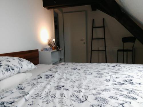 Binningen Casa | Basel Rühige Zimmer mit grösse Doppelbett
