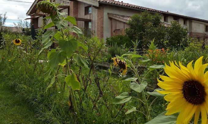 Lavalette Casa | Baugnac - Lavalette - Gîte