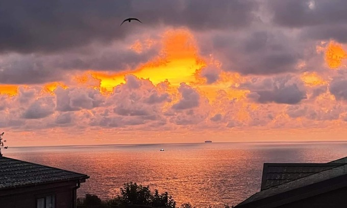Brixham Cabina | Bay View Luxury Lodge ( pet friendly )