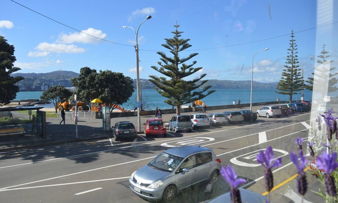 Oriental Bay Apartamento | Bayview house in Oriental Parade