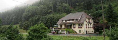 Bad Rippoldsau-Schapbach Apartamento | BE ME Black Forest Family Apartment -Zum Letzten G'Stehr