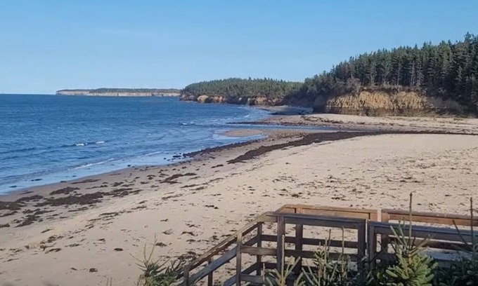 Black Rock Cabina | Beach access with Ocean View; Cabot Trail 25 km away.