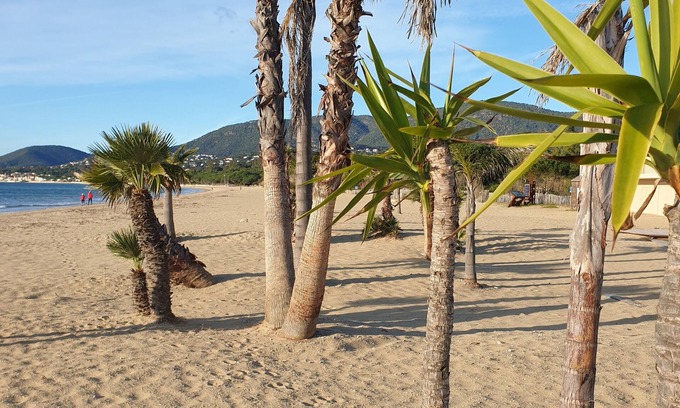 La Croix-Valmer Apartamento | MAR PLAYA SOL CAVALAIRE ST TROPEZ LA CRUZ VALMER STE MAXIME T2 CUALQUIER COMODIDAD