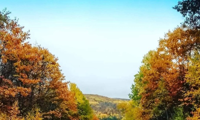 Hastings Highlands Casa | Beach Cottage and Nature Lovers Delight