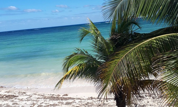 Mahahual Casa | Beach front Bugalow.
