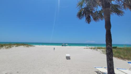 Longboat Key Apartamento | Beach Front Condo Paradise. Ground Floor.Studio.
