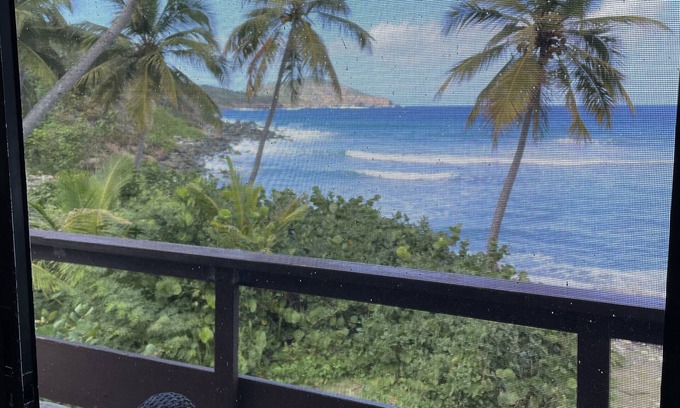 Estate Dorothea Condominio | Frente a la playa en una bahía aislada (mira tu video)