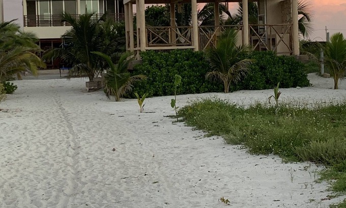 Miramar Villa | Ocean front villa (only east villa) with shared outdoor amenities Yucatan