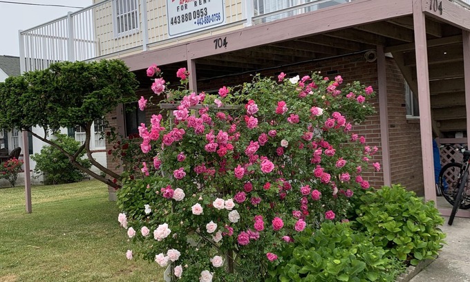 Ocean City Apartamento | Beach Happy at Elis Apartments Unit 3