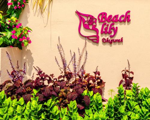 Dhigurah Casa | Beach Lily Dhigurah