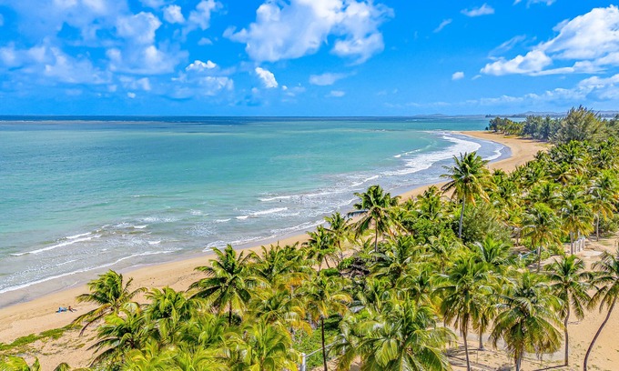 Zarzal Condominio | Beach Living at Its Finest – Your Puerto Rican Getaway Awaits