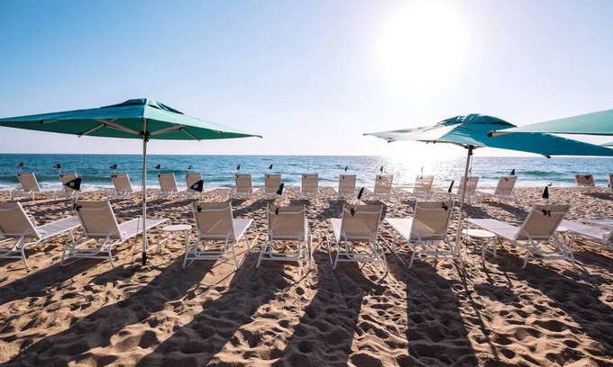 Palm Beach Casa | Beachfront Accommodation! 4 Garden View Units | Outdoor Pool w/ Ocean View
