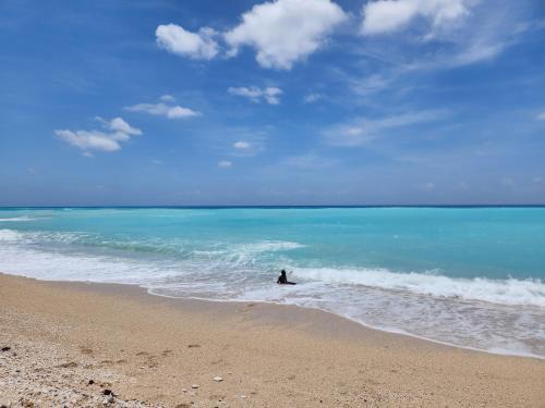 Paraiso Apartamento | Beachfront Apartment, Quiet 4 Beds, 1 Bath, AC, Wi-Fi, Hot Water, in Paraiso near Los Patos