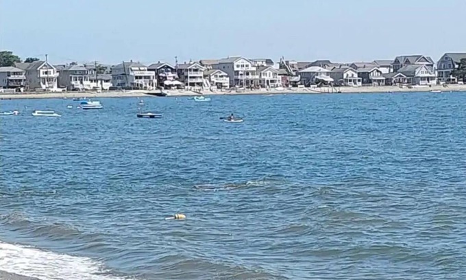 Milford Casa | Beachfront getaway in Milford