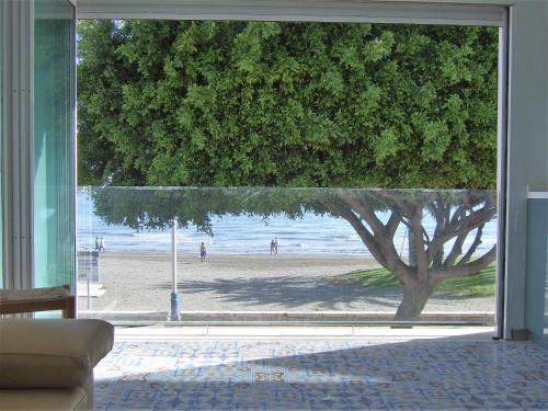 Playas del Palo Villa | Beachfront House