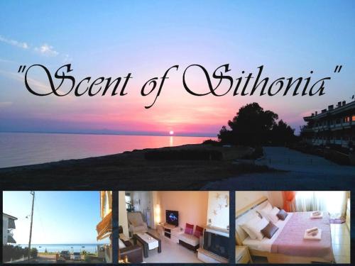 Gerakini Casa | Beachfront SCENT OF SITHONIA with pool, Gerakini, Halikidiki