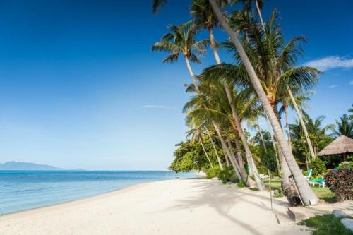 Bang Po Villa | Beachfront Spacious Villa, Lovely Bang Por Beach
