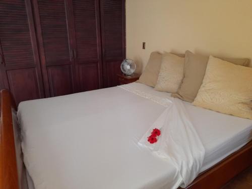 Tambor Cama Y Desayuno | Beachgem