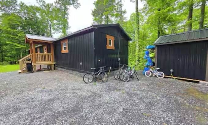 Ovid Cabina | Bear creek cabin, peaceful escape