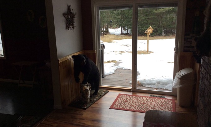 Kalkaska Villa | Bear Lake escapar cerca de Kalaskla MI