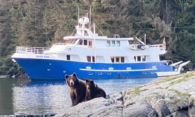 Sitka Alquiler De Eote | Bear Paw Yacht Your All-Inclusive Charter Boat to Explore Sitka Waters