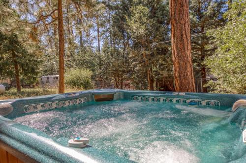 Idyllwild Casa | Bear's Den