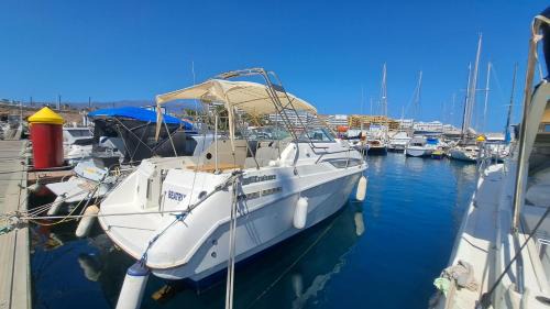 San Miguel de Abona Alquiler De Eote | Beatrix boat