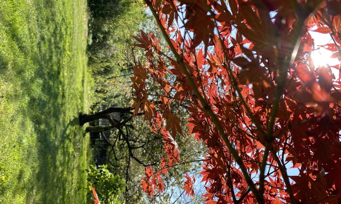 Buckow Casa | Beautiful, old holiday home with a view of the lake