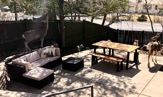 Cheyenne Canyon Cabaña | Beautiful 3 BR Cottage in Cheyenne Canon-Minutes from trails, Broadmoor and zoo!