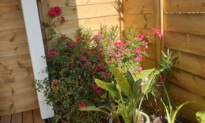 Le Teich Apartamento | BEAUTIFUL BRAND-NEW STUDIO APARTMENT