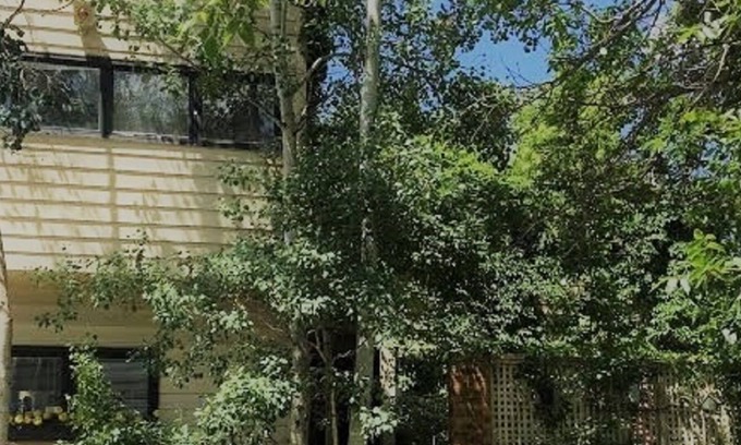 Cherry Creek Casa | Especial de Otoño: Gema Cherry Creek