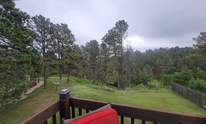 Colonial Pine Hills Cabina | Beautiful & Comfy CABIN Retreat with abundant wildlife, WIFI and AC