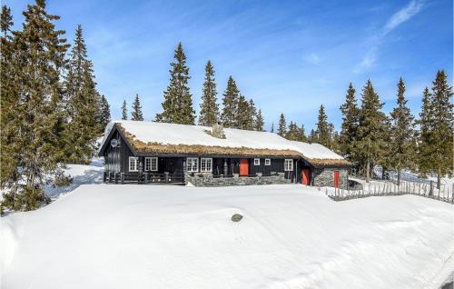 Sjusjoen Casa | Beautiful Home In Sjusjøen With Kitchen