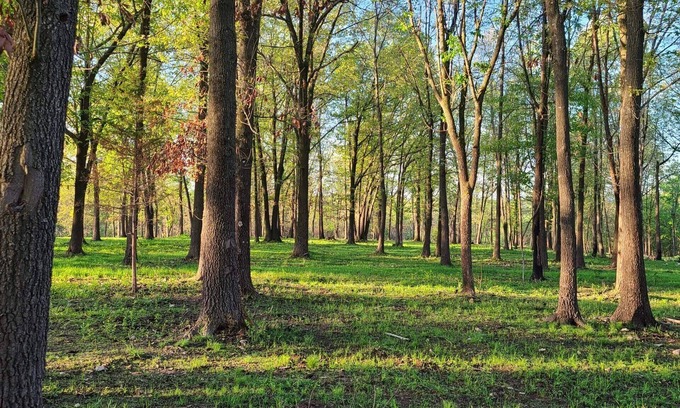 Carroll County Otro | Beautiful home near Branson, MO & EurekaSprings, AR.