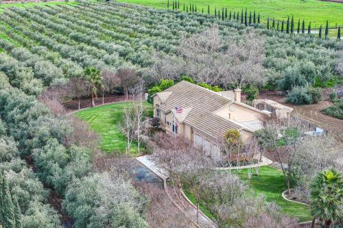 Byron Casa | Beautiful Home with Hot Tub on Byron Olive Farm
