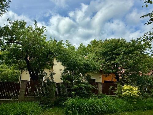 Rabyne Casa | Beautiful house by the river with its own dock