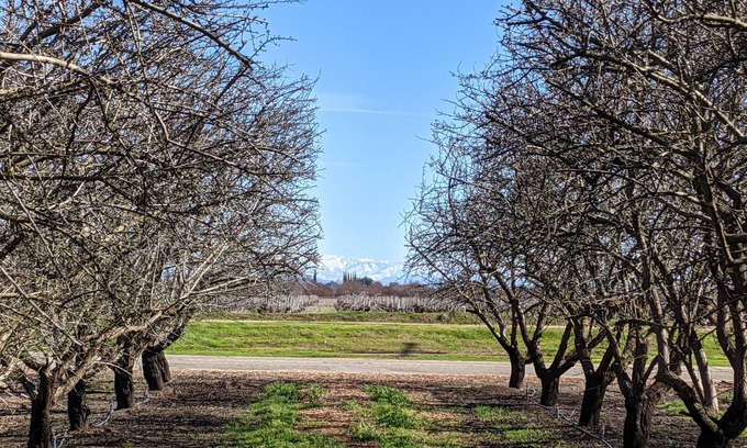 Madera Otro | Beautiful house on Almond & Pistachio Farm