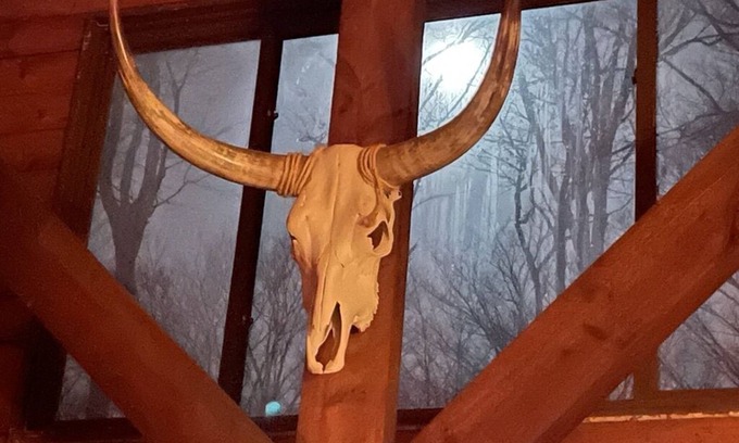 Prattsburgh Cabina | Beautiful Log Home - NY Finger Lakes- Wineries, Hiking, Breweries, Distilleries