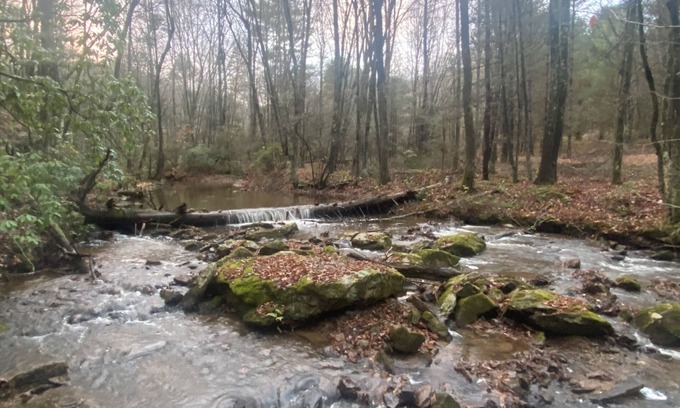 Montebello Cabina | Beautiful new cabins mile off Blue Ridge Parkway in Montebello, VA