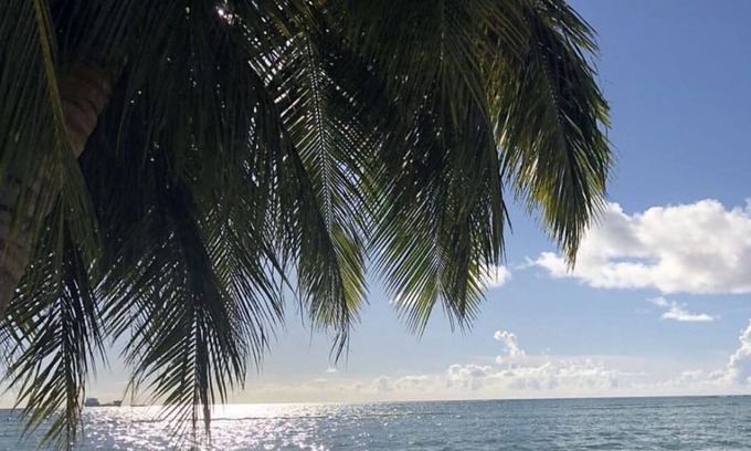 San Roque Apartamento | Beautiful One- Bedroom Unit across PauPau Beach