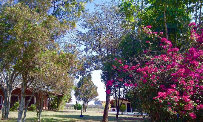 Alambari Cabaña | hermoso sitio con WIFI, C Asiento w / 2 piscinas, barbacoa, horno de pizza, chimenea